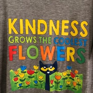Pete the Cat t-shirt, gray, size L, large, good condition!